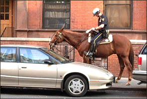 horsecop pic 24KB