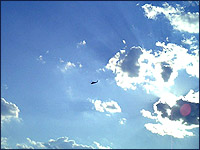 summer sky pic