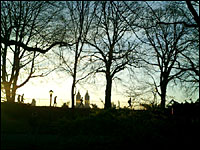 pic-click for larger view