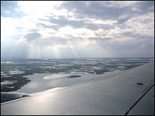 Great EsSkate 2008