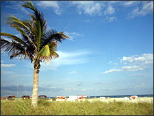 South Beach