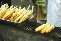 corn-on-the-cub